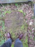 image of grave number 485338